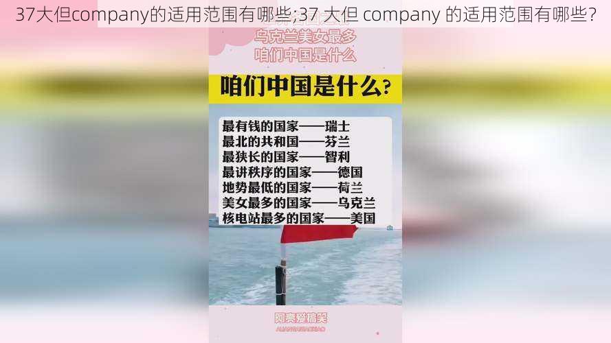 37大但company的适用范围有哪些;37 大但 company 的适用范围有哪些？