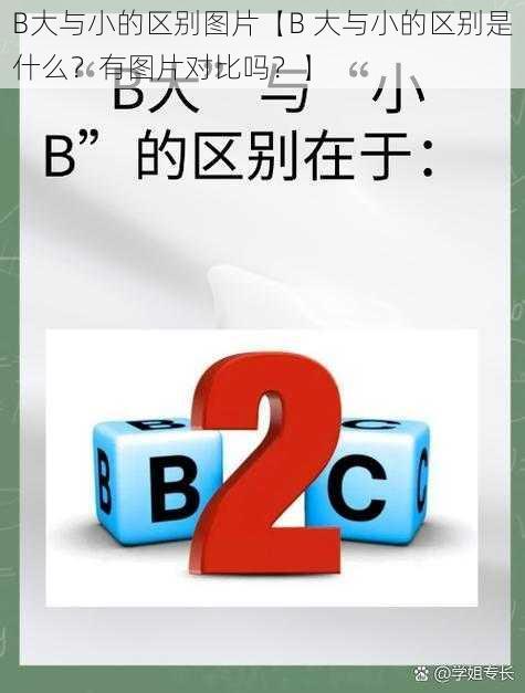 B大与小的区别图片【B 大与小的区别是什么？有图片对比吗？】