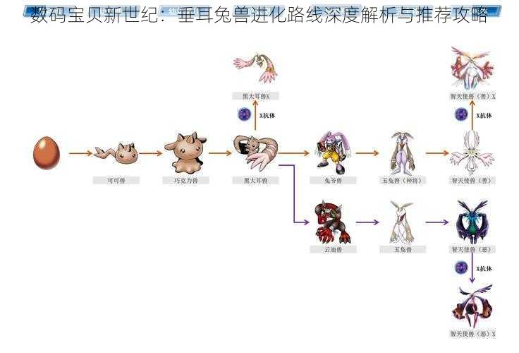 数码宝贝新世纪：垂耳兔兽进化路线深度解析与推荐攻略