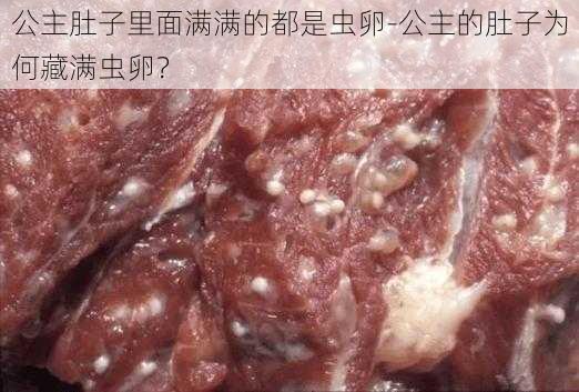 公主肚子里面满满的都是虫卵-公主的肚子为何藏满虫卵？