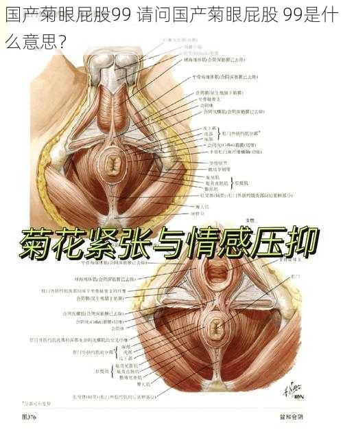 国产菊眼屁股99 请问国产菊眼屁股 99是什么意思？