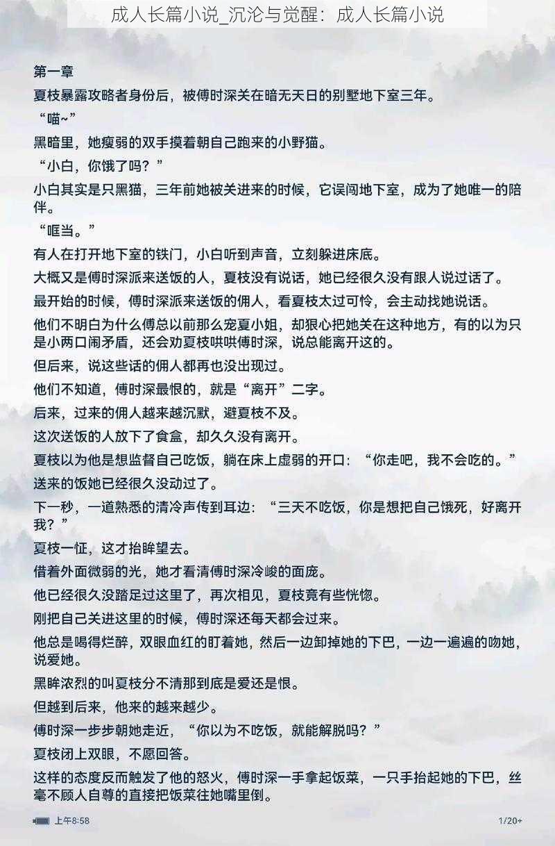 成人长篇小说_沉沦与觉醒：成人长篇小说