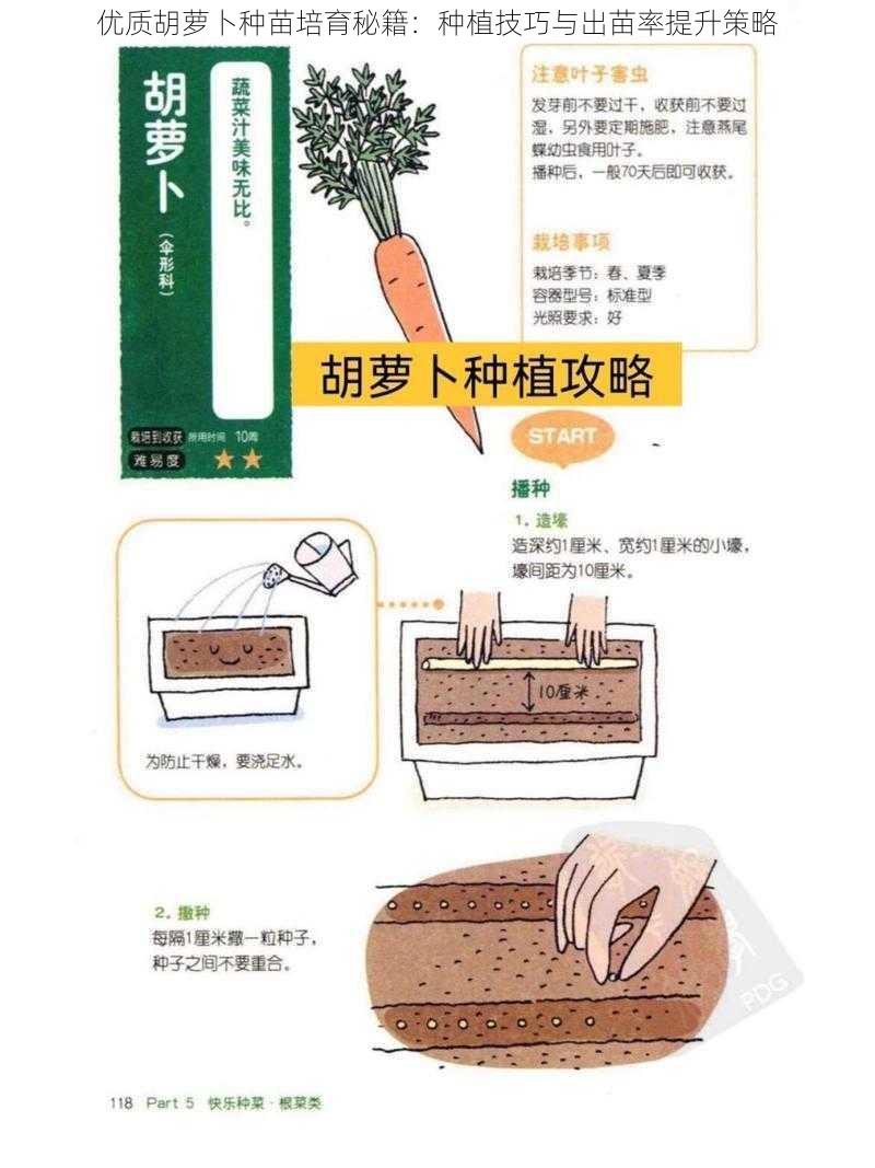 优质胡萝卜种苗培育秘籍：种植技巧与出苗率提升策略