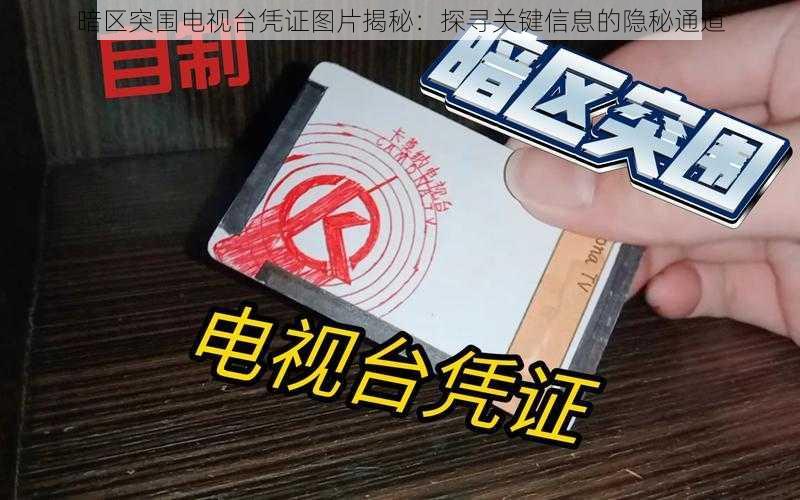 暗区突围电视台凭证图片揭秘：探寻关键信息的隐秘通道