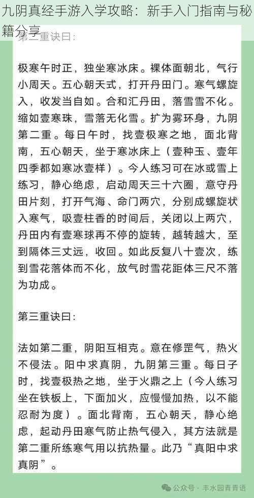 九阴真经手游入学攻略：新手入门指南与秘籍分享