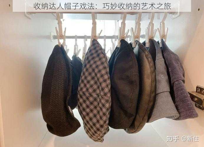 收纳达人帽子戏法：巧妙收纳的艺术之旅