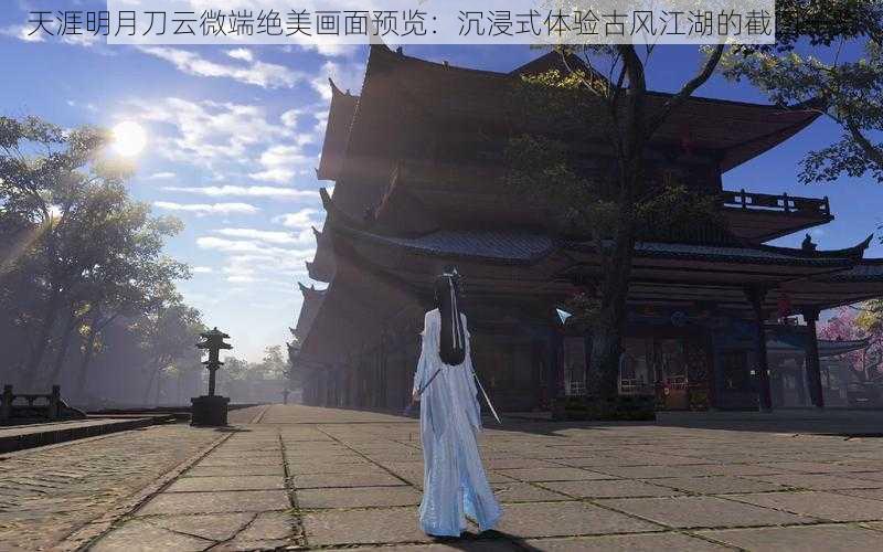 天涯明月刀云微端绝美画面预览：沉浸式体验古风江湖的截图一览