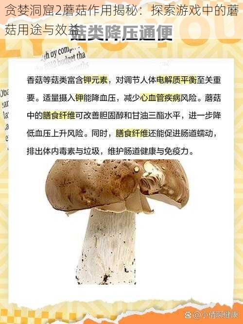 贪婪洞窟2蘑菇作用揭秘：探索游戏中的蘑菇用途与效益