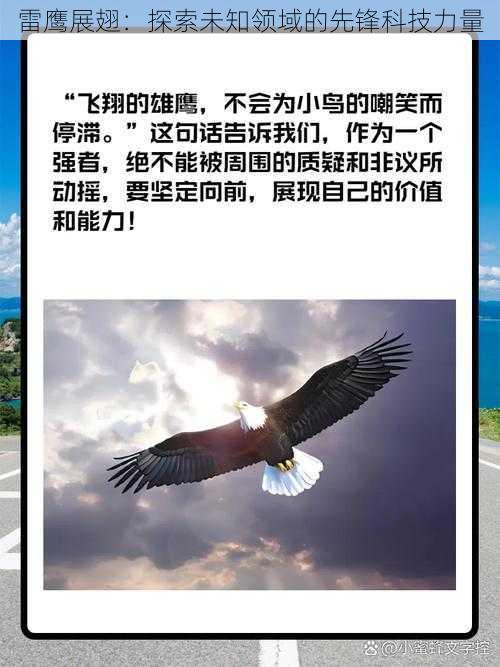 雷鹰展翅:探索未知领域的先锋科技力量