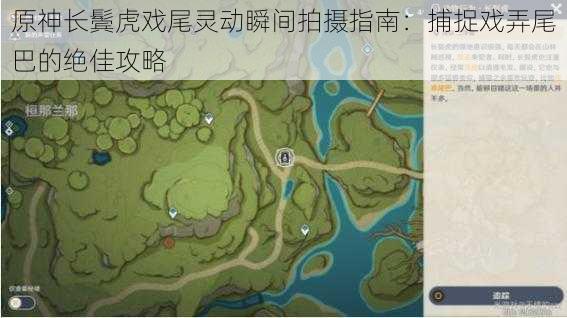 原神长鬓虎戏尾灵动瞬间拍摄指南:捕捉戏弄尾巴的绝佳攻略