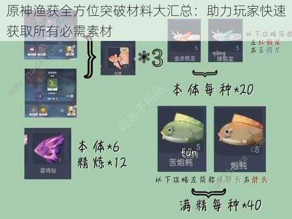原神渔获全方位突破材料大汇总:助力玩家快速获取所有必需素材