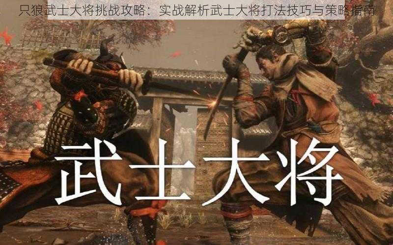 只狼武士大将挑战攻略：实战解析武士大将打法技巧与策略指南